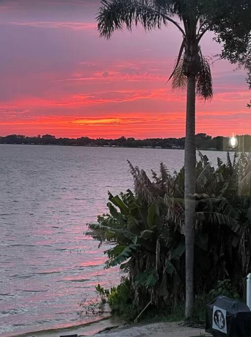 Lakefront Duplex With Pontoon Boat 3 Bed House Mount Dora Bagian luar foto